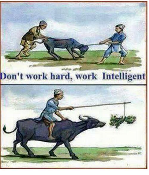 هوشمندانه کار کنید