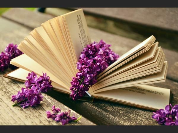 فروشگاه آنلاین کتاب در ساری