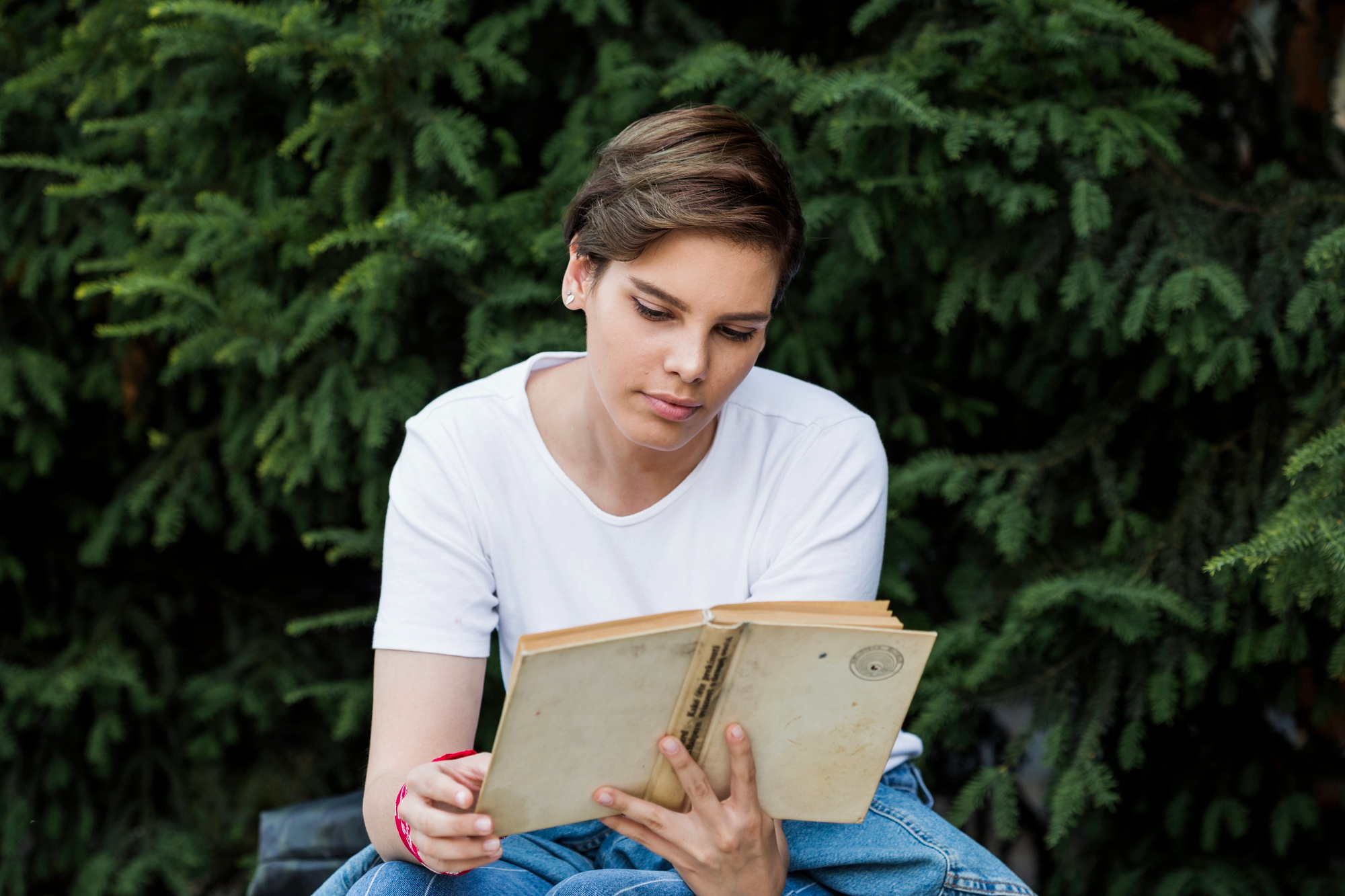 کتاب کیمیاگر به انگلیسی