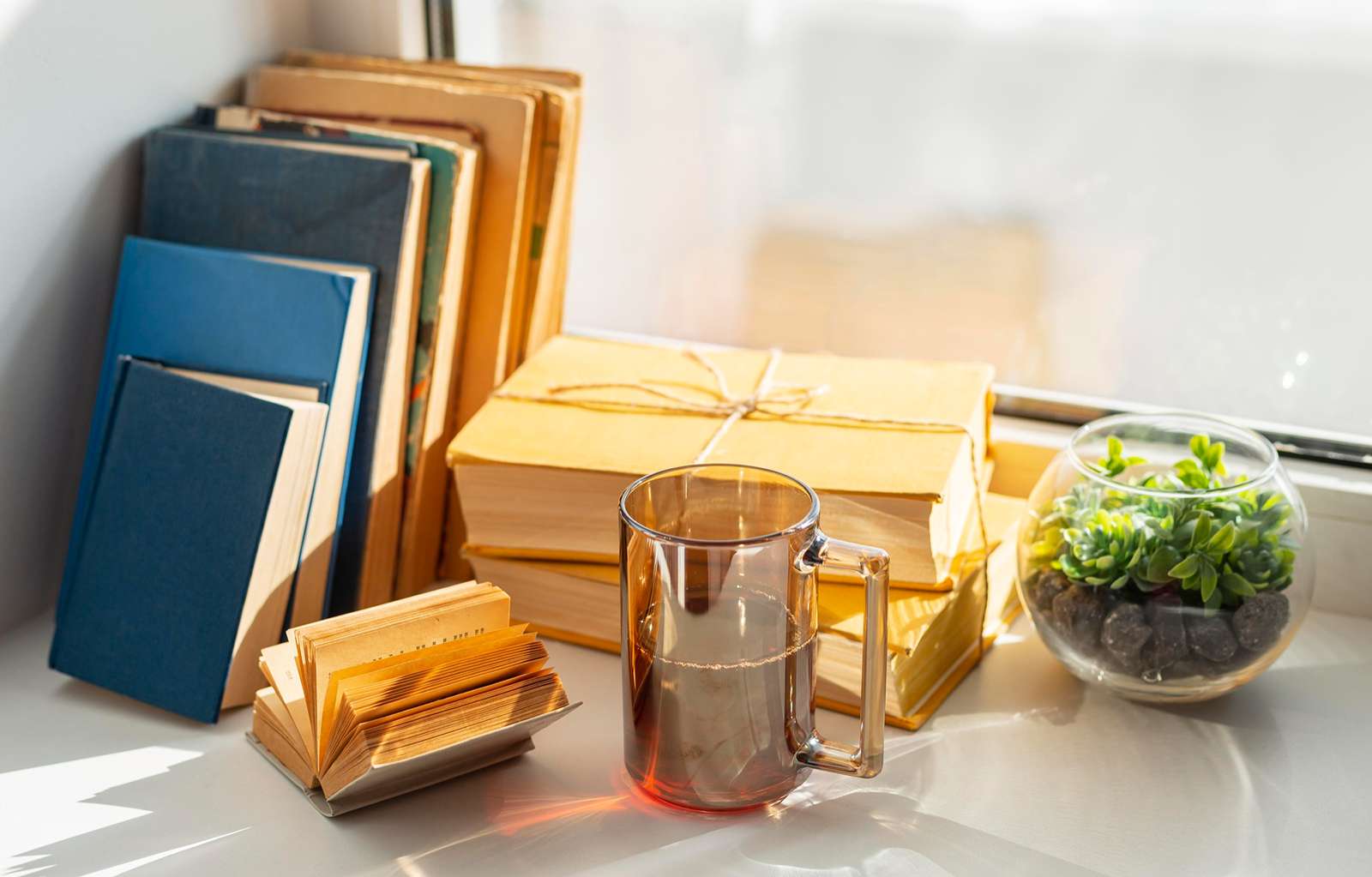 دانلود جانتان مرغ دریایی